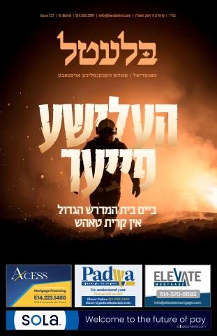 Bletel cover — Vayeshev #231